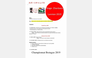 Championnat de Bretagne de chanbara