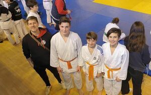 championnat departemental judo minime