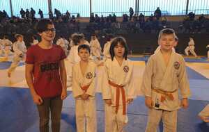 tournoi benjamin judo 2